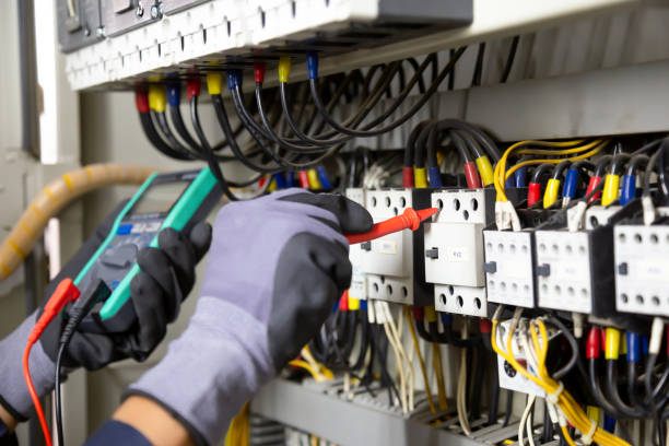 Best Electrical Panel Upgrades  in Rosita, TX